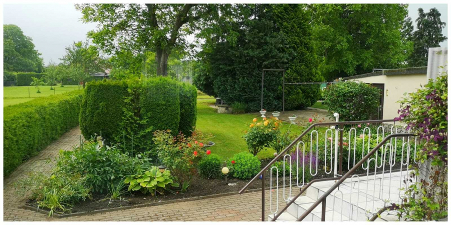 Blick in den Garten