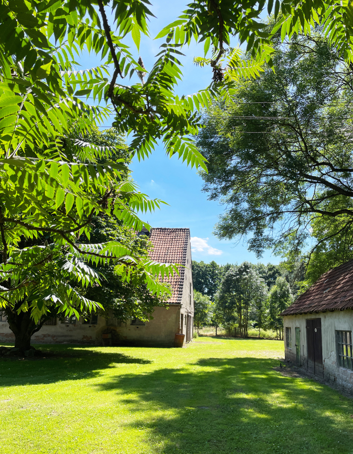 Scheune und Schuppen
