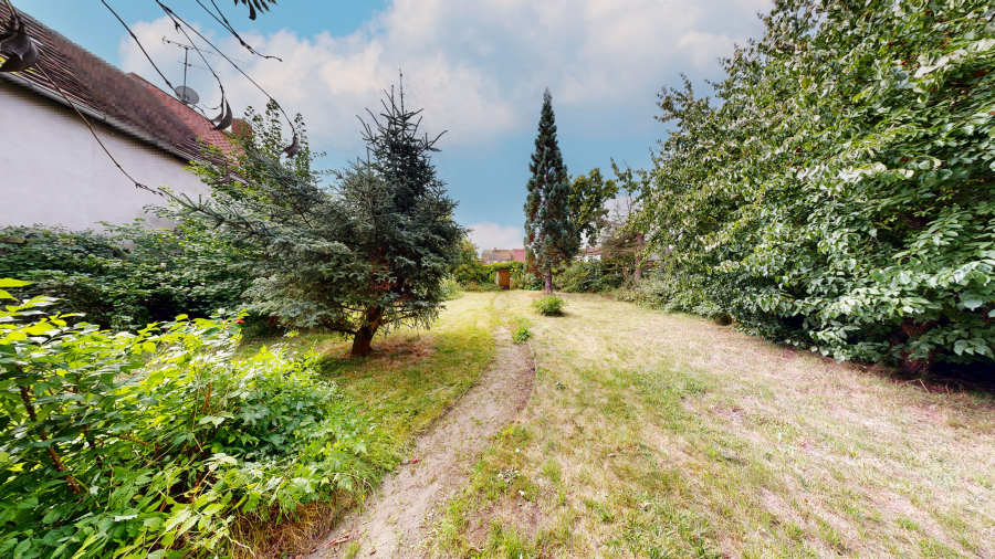 Nördliche Gartenansicht Bild 2