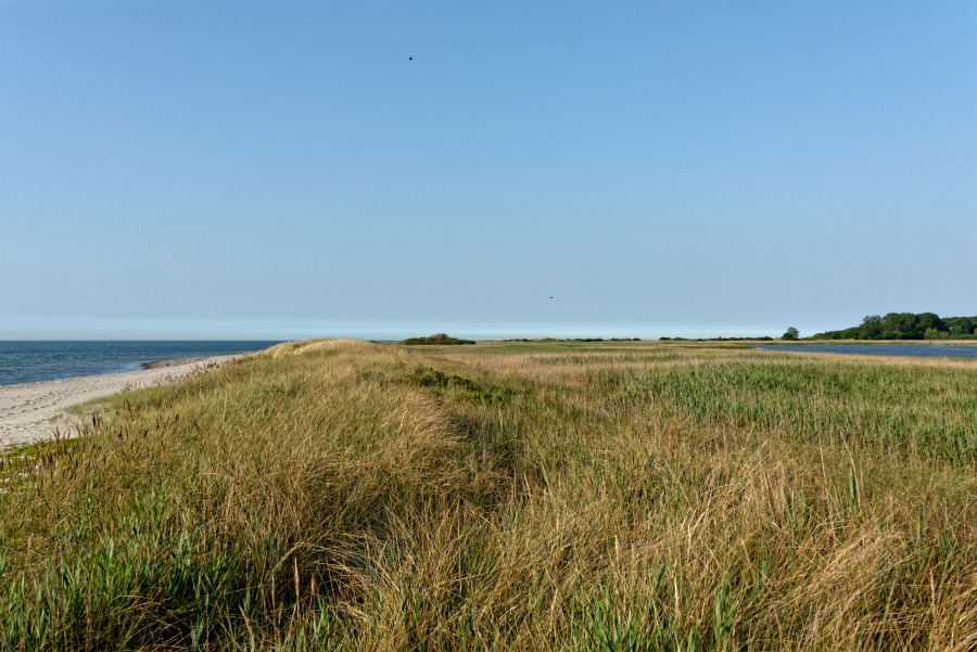 einsamer Strand am Riedensee im Westen
