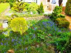 ❤ Gepflegtes Gartengrundstück mit Ferienhaus inkl. Sauna & Kamin auf dem Land mit guter Anbindung ❤ - Vorgarten